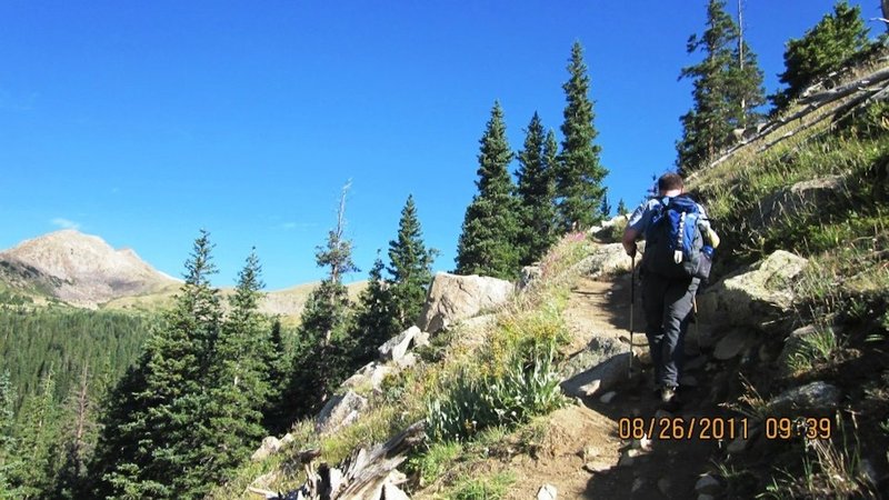 Awesome trail around tree line.