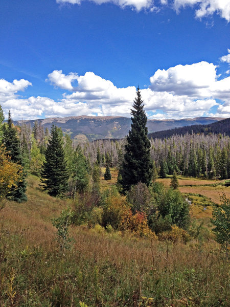 Looking east towards Ptarmigan Mountain from the Gore Range Trail