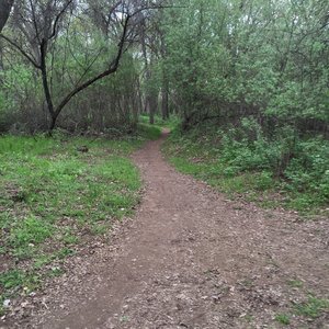 Lower Bidwell Park Creek Trails
