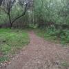 Lower Bidwell Park Creek Trails