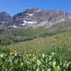 Mid-July and the wild flowers were out in full force.  Near the Buckskin Pass Trail