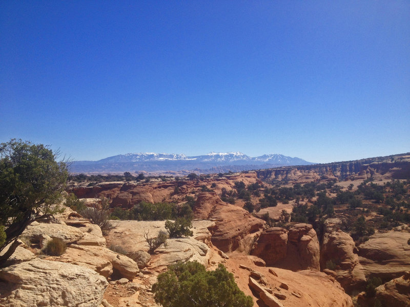 Looking south towards the La Sal Mountains from the Bull Run Trail