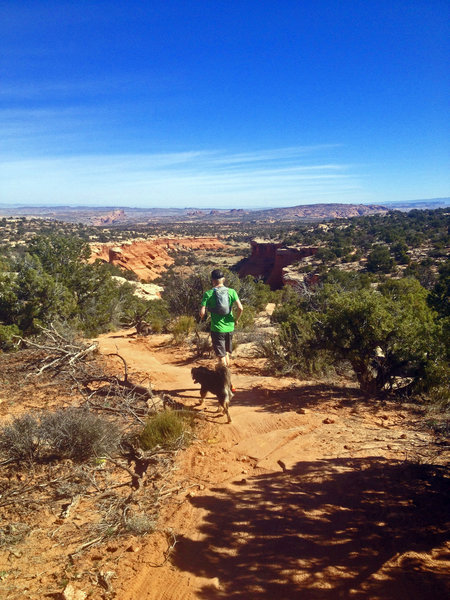 Running on Bull Run Trail