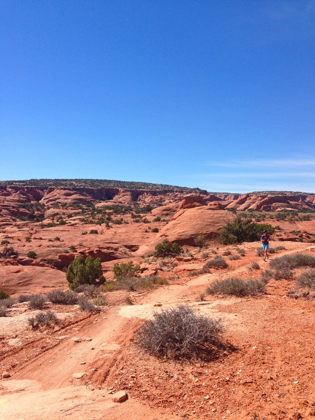 Running on Bull Run Trail