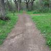 North park path, Lower Bidwell Park