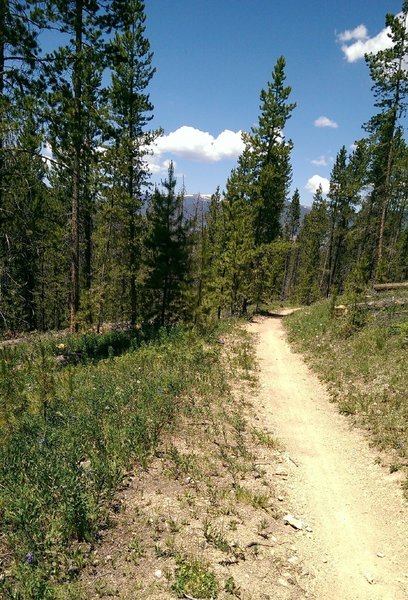 Tenderfoot Mountain in the distance