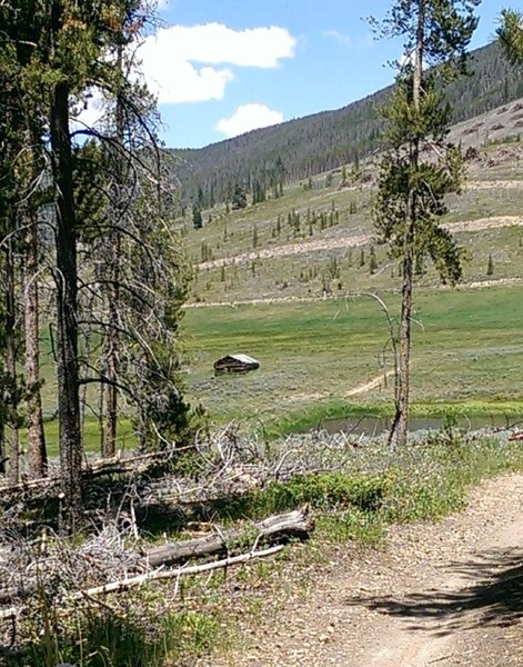 Old homestead in the Soda Creek meadow