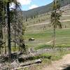 Old homestead in the Soda Creek meadow