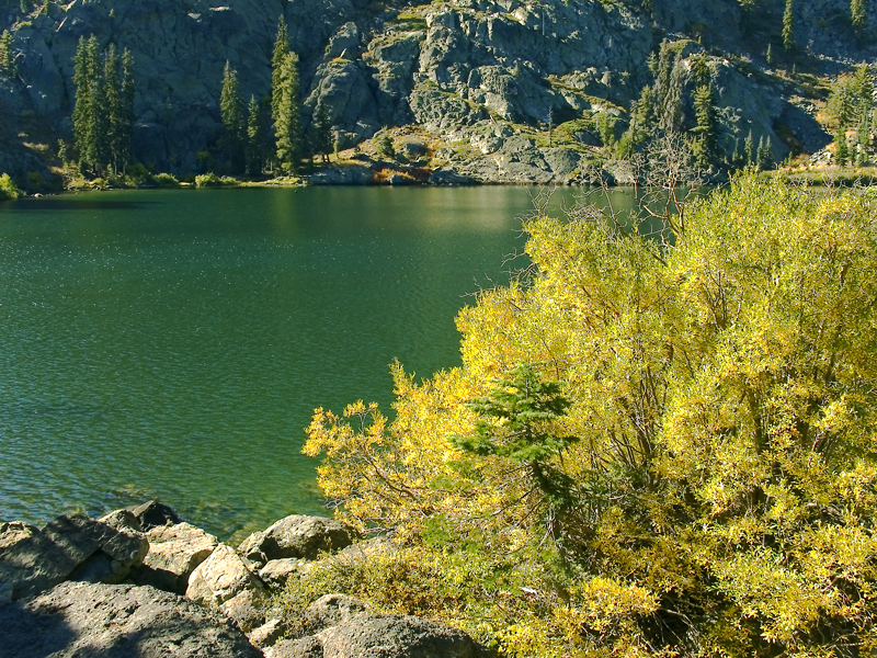 Nice spot next to Homer Lake- from Homer Deerheart Trail