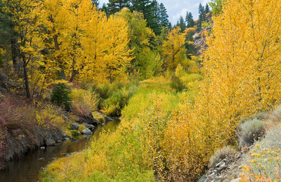 Bizz Johnson National Recreation Trail Hiking Trail, Westwood, California