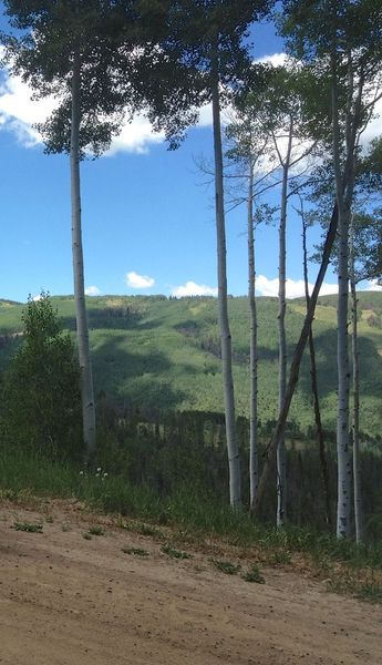 On Cinch looking back at the ski area