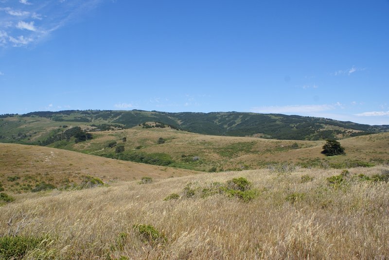 Point Reyes - Estero Trail