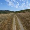 Point Reyes - Estero Trail