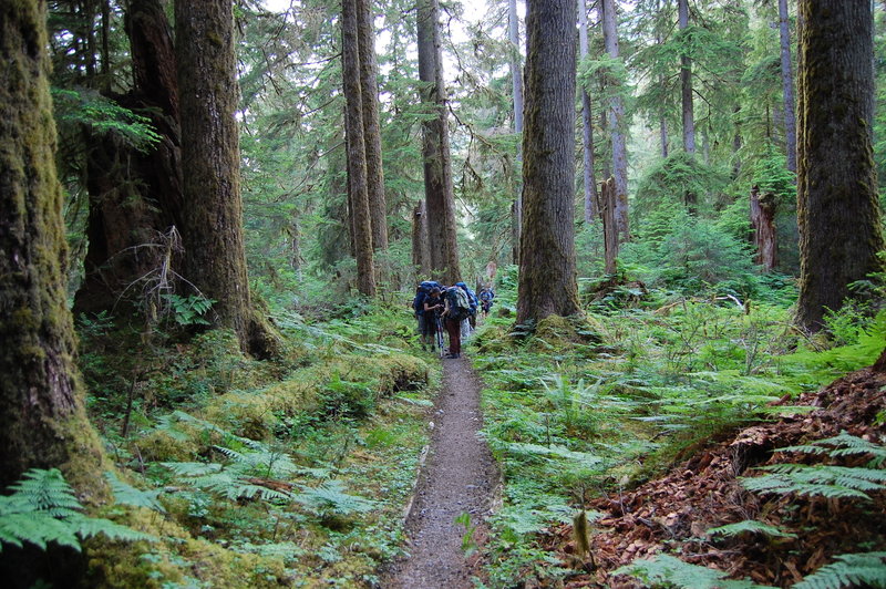 Backpackers along the trail