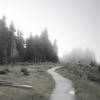 Hurricane Ridge