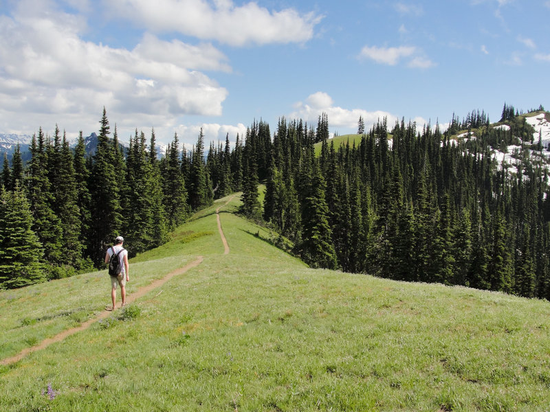 Olympic National Park