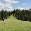 Olympic National Park