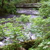 Bridge over Barnes Creek