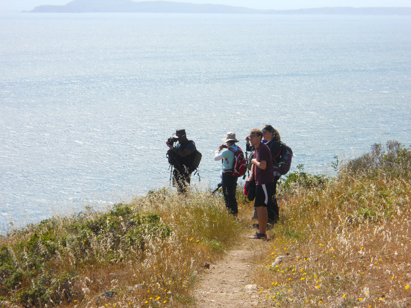 Bird watching from the bluffs