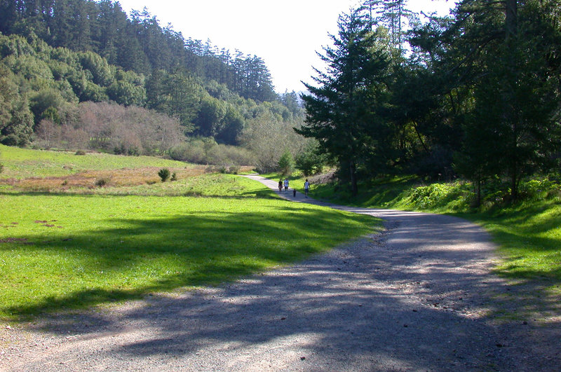 Path through the Divide Meadow