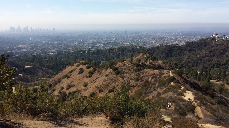 Looking south from Griffith