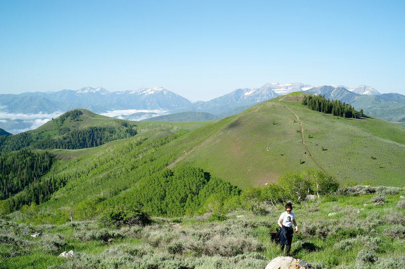 Silver Lake Trail in Park City