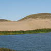 Sand dunes adjacent to Abbotts Lagoon