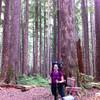 Junction: Appleton Pass Trail & Sol Duc River Trail