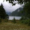 Meadow flowers by Lake Crescent