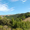 Bolinas Ridge views