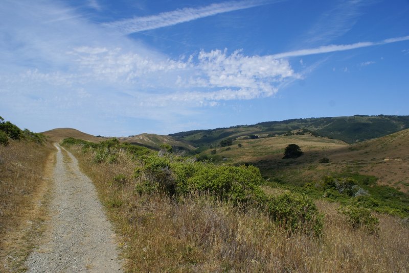 Point Reyes - Estero Trail