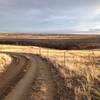 Looking down part of the White Rocks section of the East Boulder Trail.  Easy going in the hilly plains east of town.