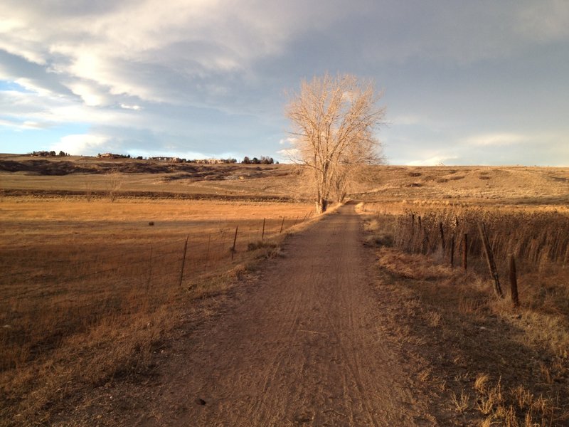 Looking Northeast from the White Rocks trail just above the bridge across Boulder Creek.