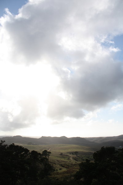 On Point Reyes peninsula - Johnstone Trail