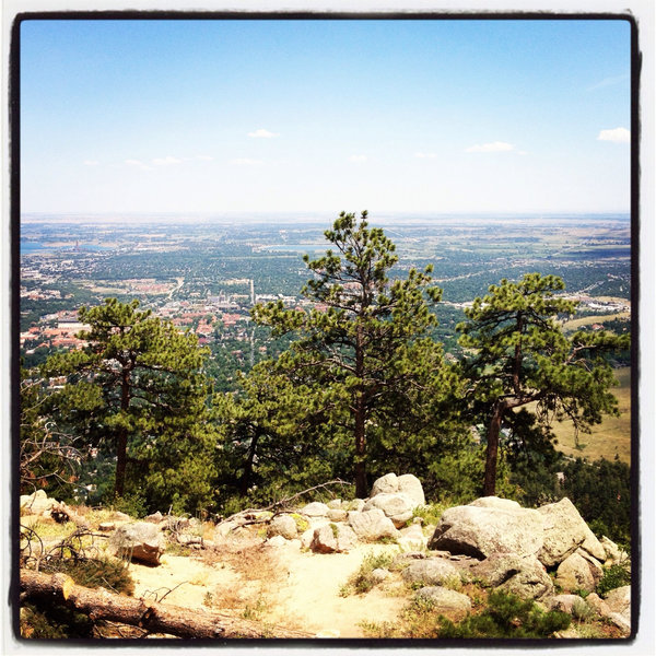 Boulder from above, on Chapman Drive