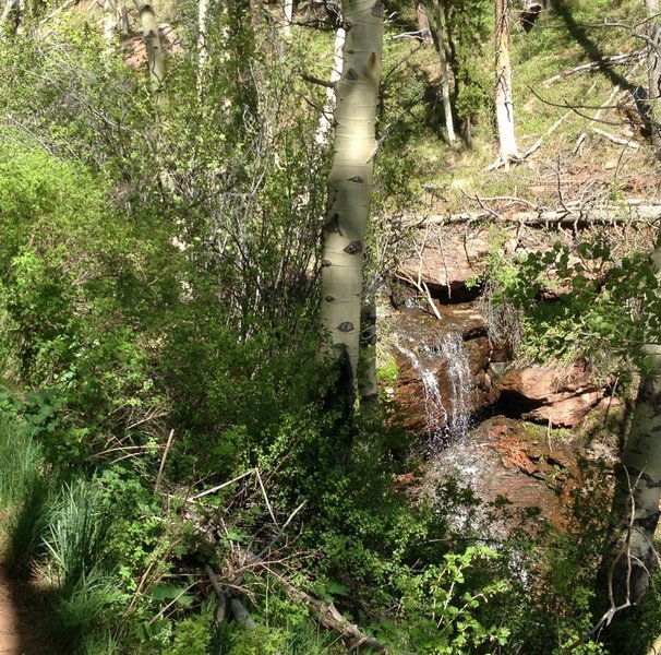 Gurgling little waterfall in June