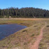 Heading out into the meadows of the Dry Lakes on the Dry Lakes Vista Trail