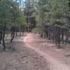 Smooth flowing descent toward the Pipeline Trail