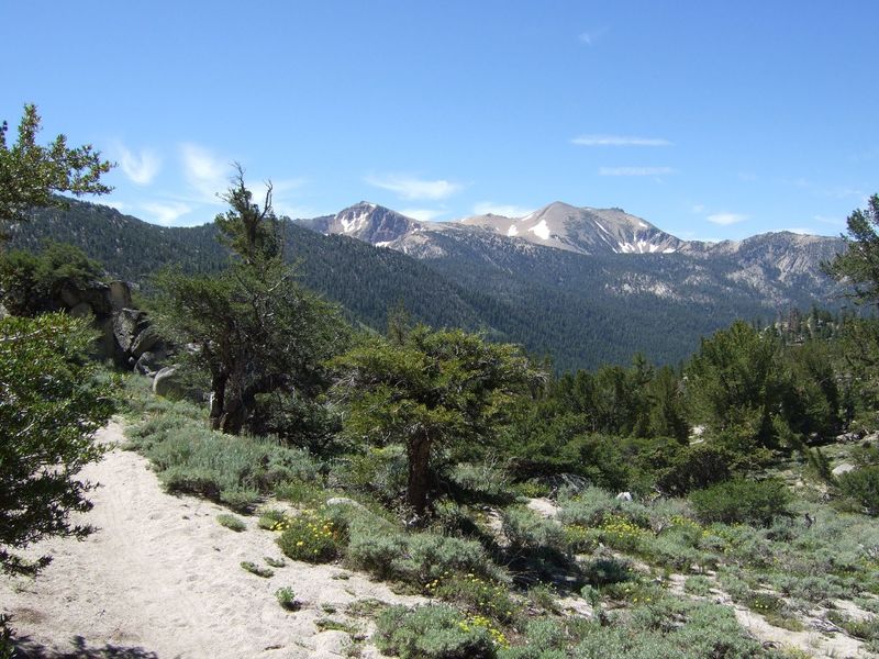 Freel Peak from Monument Pass.