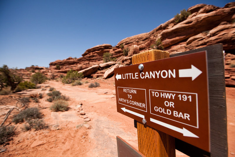 A junction of trail choices.