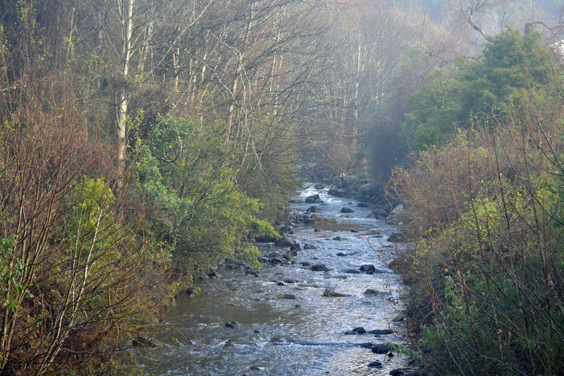 Leith River crossing.