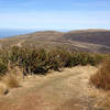 Views out to crashing waves on the beach from the high country of Swampy Ridge.