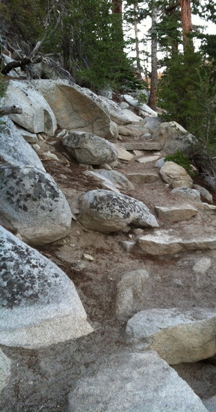 Lots of swithcbacks on the Tahoe Rim Trail