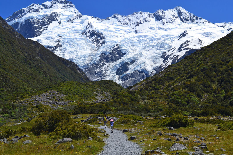 Mount Sefton towering above the Kea Point Track.