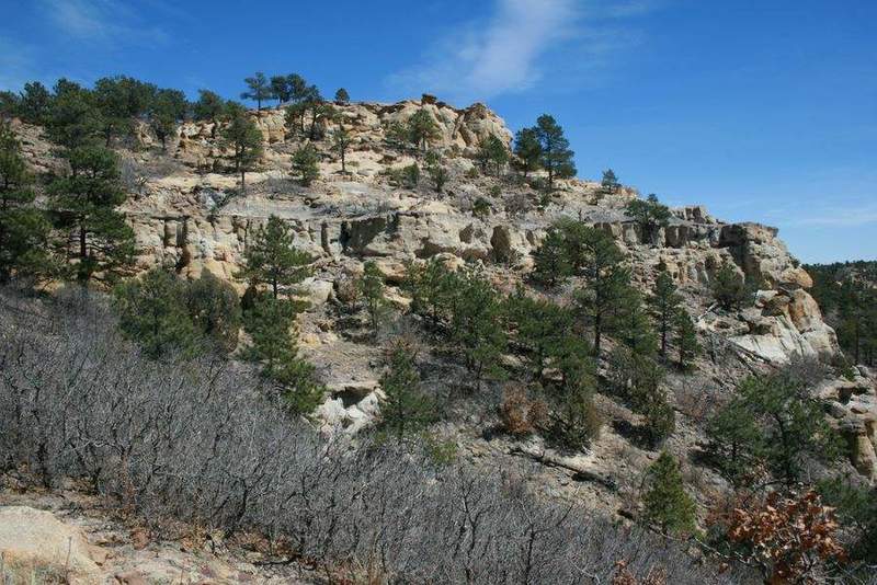 Typical views from the Palmer Park Trail