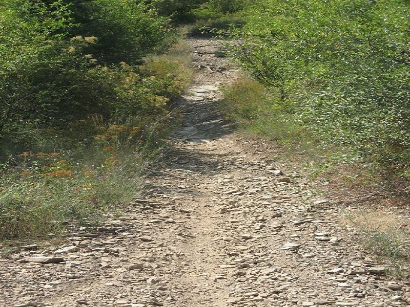 Trail "A"