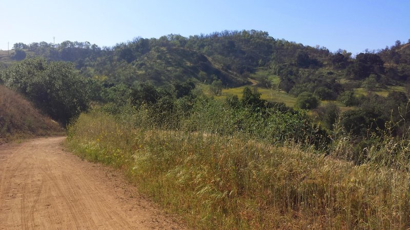 Bonelli Trail, plenty of exposure on this part of the trail before it heads into some shade. Nice and wide though, room for runners and bikes. The Rolling hills are a good workout.