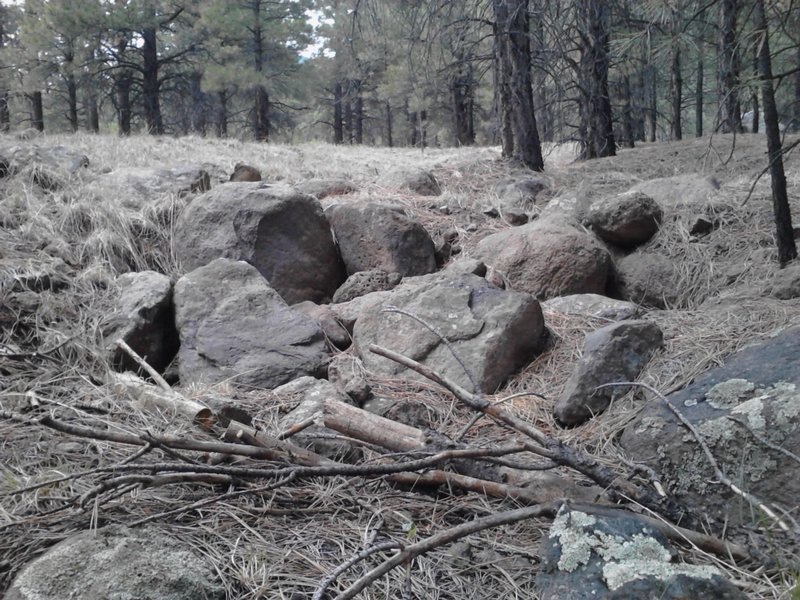 Chimney Spring from the Moto Trail (lower)