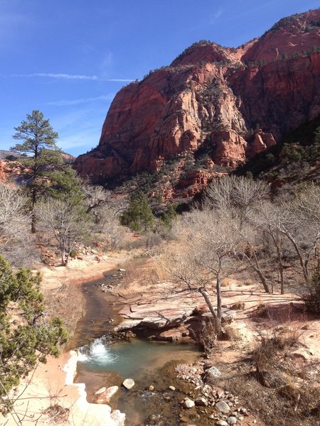 Nice little swimming hole along the way. Can be a real pleasant diversion on a hot day.  La Verkin Creek Trail