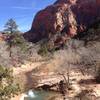 Nice little swimming hole along the way. Can be a real pleasant diversion on a hot day.  La Verkin Creek Trail